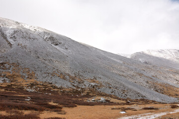 The stony slopes of a high cliff sprinkled with the first snow and a glade overgrown with yellowed grass and red moss on a cloudy autumn day.