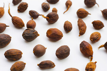 Black Cardamom or Greater Cardamom