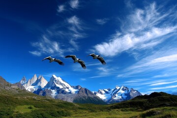 Fototapeta premium Condors soaring above Torres del Paine, their massive wings silhouetted against the striking peaks, creating a majestic scene