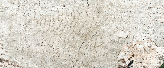 Close-up of a weathered concrete surface revealing its cracked and textured nature. Classic retro texture for poster banner background and other digital needs.