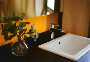 sink in bathroom next to a plant