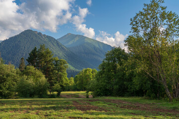 Naklejka premium View of the foothills of the North Caucasus mountains near the village of Arkhyz on a summer sunny morning, Karachay-Cherkessia, Russia
