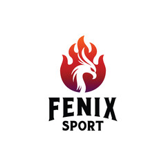 Mythical Fenix Firebird Silhouette. Beauty Rising Eagle Falcon Hawk Logo Design.