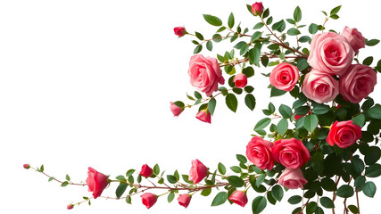 A bouquet of pink roses with green leaves