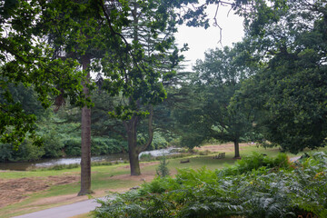Countryside in Bradgate Park in the UK