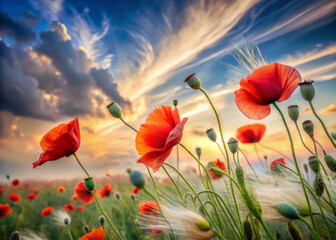 Naklejka premium Vibrant red poppy flowers sway gently in lush green field under dramatic sky filled with clouds and warm sunset hues. scene evokes sense of tranquility and natural beauty