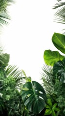 Tropical Leaf Frame