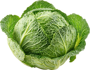Fototapeta premium Green cabbage on black background