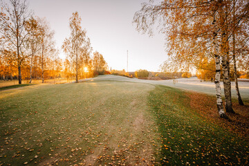 Golden sunrise over a frosted golf course with scattered autumn leaves and birch trees, creating a serene natural landscape..