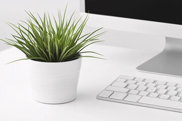 Minimalist Workspace with Green Plant and White Keyboard