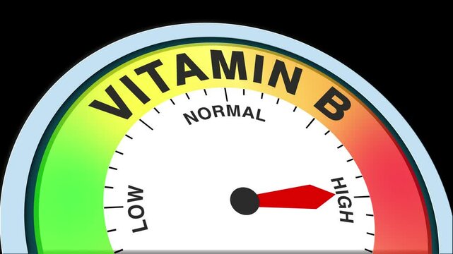 Vitamin B Level Text or Word Low and Medium to High Meter Concept Animation on Black Background and Blue Screen