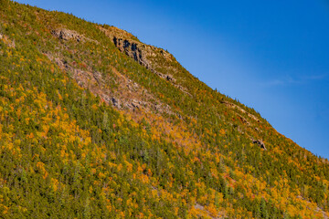Fototapeta premium Fall colors in Crawford Notch