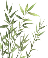 Obraz premium Green bamboo leaves