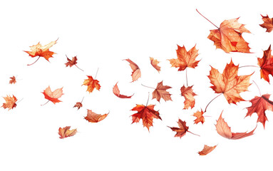 Falling autumn leaves