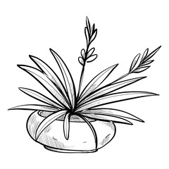 home plants handdrawn illustration