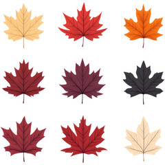 Fototapeta premium Collection of autumn leaves in various shades of red, orange, and yellow.