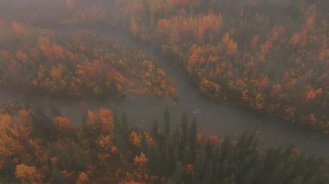 Foggy Atmosphere On Autumn Forest River Near Tombstone National Park In Dempster Highway, Yukon Canada. Aerial Shot