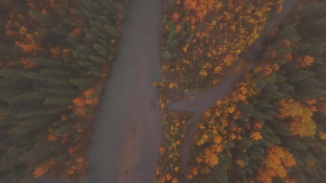 A Misty, Vibrant Autumn Landscape Along the Dempster Highway in Yukon, Canada - Aerial Topdown Shot