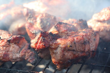 Grilled Meat on the BBQ An Unforgettable and Delicious Summer Treat to Enjoy with Friends