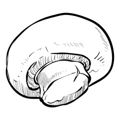 champignon mushroom handdrawn illustration