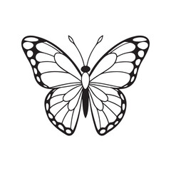 Obraz premium Monarch Butterfly vector art design