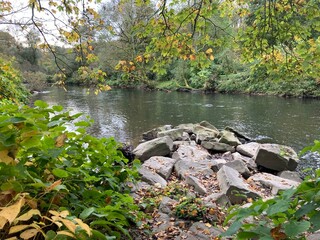 Landschaft am Fluss, Wupper im Herbst