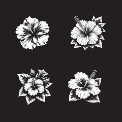 Hibiscus flower vector