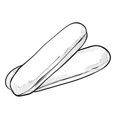 biscuit handdrawn illustration