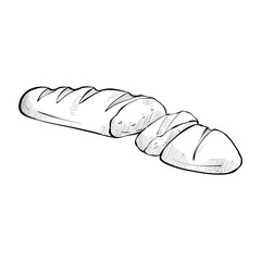 baguette handdrawn illustration