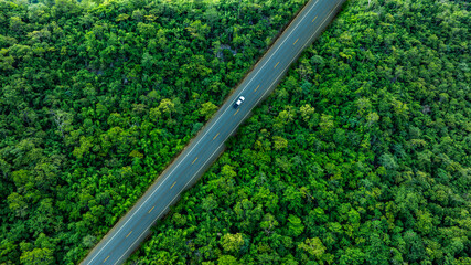 Aerial view of dark green forest road and white electric car Natural landscape and elevated roads Adventure travel and transportation and environmental protection concept