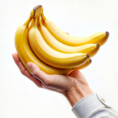 Fresh Banana and Tropical Banana Bunch, Plátano fresco y mano de plátano tropical
