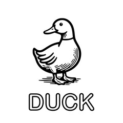 Cute outline drawing of a duck on a white background. vector illustration for a coloring book.