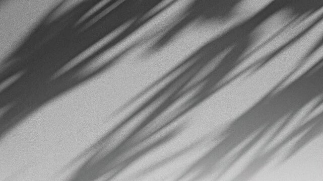 Wall interior background, studio and backdrops show products.with shadow from window color white and grey. background for text insertion and presentation product	