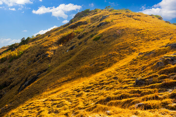 Dry grass on Krating cape hill in summer Phuket Thailand