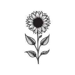 Hand-drawn set of sunflowers, flat minimalist black and white coloring page illustration of flower, adults and children vector sketch