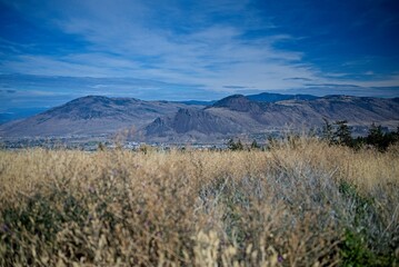Scenic Mountain Landscape with Golden Grasses