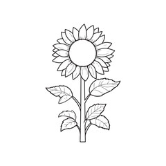 Sunflower flower outline illustration coloring book page design, Sunflower flower black and white line art drawing coloring book pages for children and adults