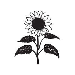 black and white sunflower illustration