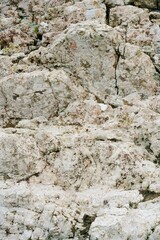 Rough Light Rock Texture - Natural Stone Surface Detail