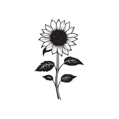 Sunflower flower outline illustration coloring book page design, Sunflower flower black and white line art drawing coloring book pages for children and adults