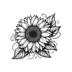 Sunflower flower vector black and white graphics isolated on a white background, linocut, realistic drawing, linear art. single sunflower