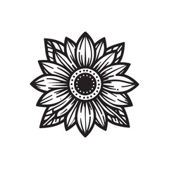 Sunflower flower vector black and white graphics isolated on a white background, linocut, realistic drawing, linear art. single sunflower