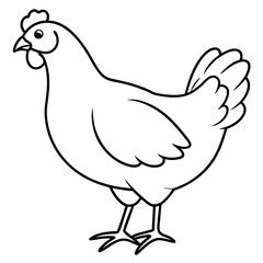 Fototapeta premium Chicken vector illustration.