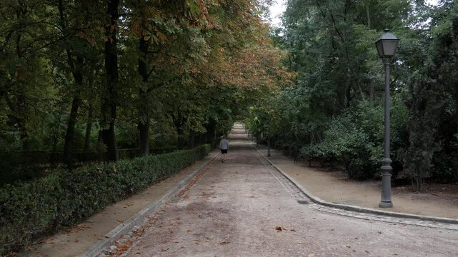Elder man walks in park. Lifestyle habits improving lifespan.