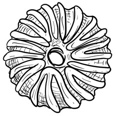 cookies handdrawn illustration