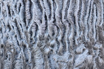 The texture of the wool is made of short gray hair, from which the hat is made