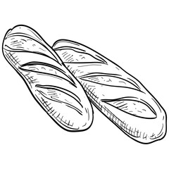 baguette handdrawn illustration