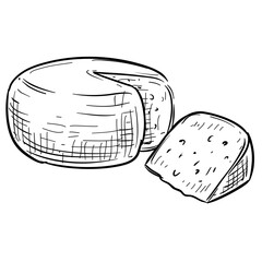 cheese handdrawn illustration