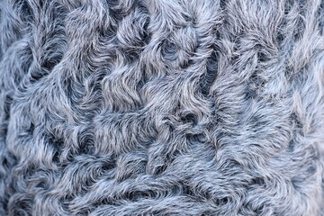 This is a Textured Gray Fur Fabric Background that is perfect for Various Creative Projects