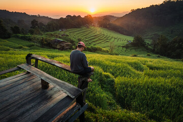 Fototapeta premium Aerial view of the rice fields,Rice fields and mountains in the early morning